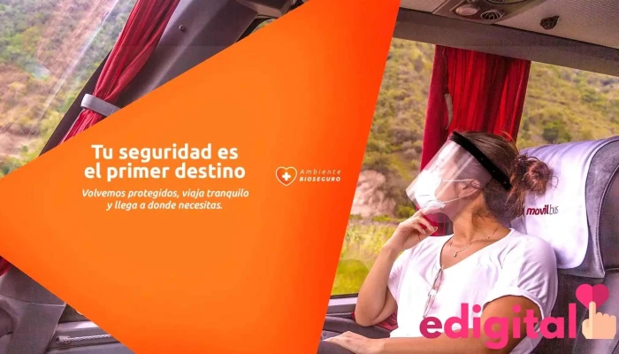 Movil Bus - Tarapoto 22201