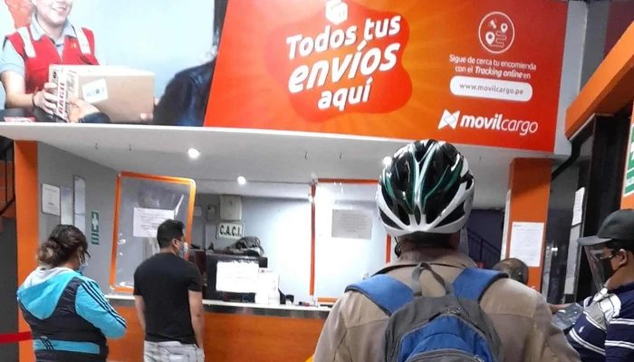 Movil Bus -  Telefono - Trujillo 13008