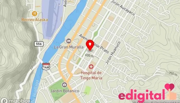 mapa de My Pharma A & L Farmacia en Tingo María