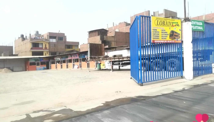 Nuevo Terminal Virgen de Cocharcas - Pe-22