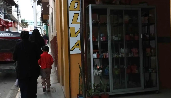 Olva Courier - Chota 06121
