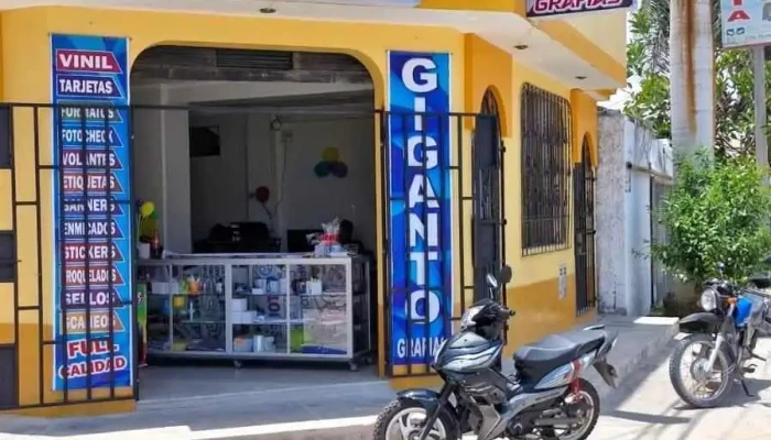 Origami studio - Camaná 04450