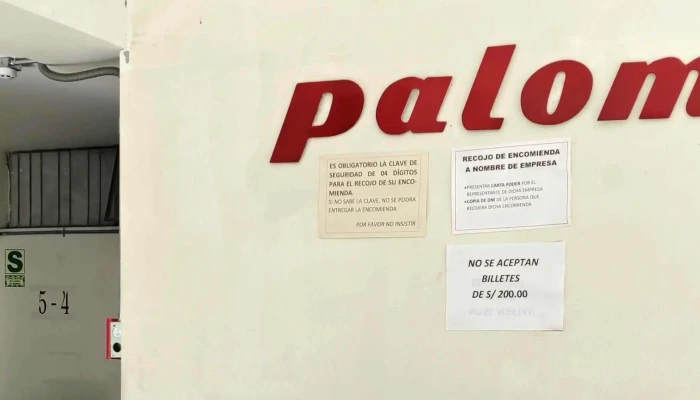 Palomino Cargo - Arequipa