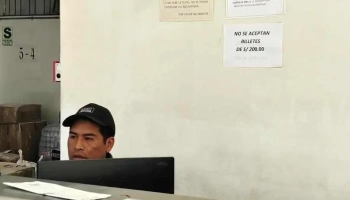 Palomino Cargo -  Mas Recientes - Arequipa