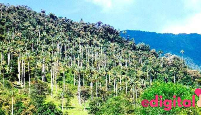 Parque Nacional de Cutervo - Santo Tomás