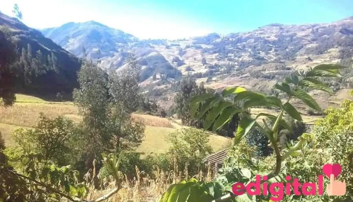 Pasacancha - Sihuas 02225
