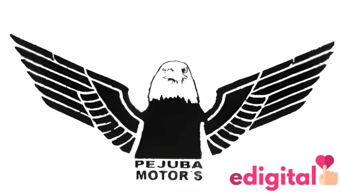 Pejuba Motor's - Ayaviri 21866