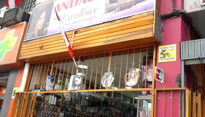 Perfumería Andaly - Santiago De Surco 15038