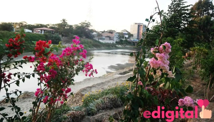 Piura - Perú