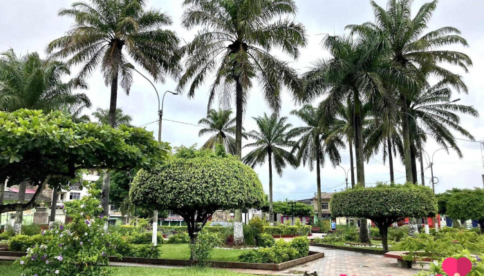 Plaza De Armas Tocache - Jirón San Juan
