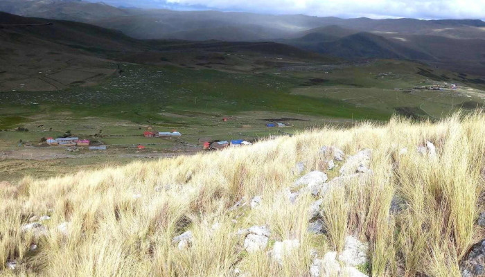 Pumapuquio - Cancahuane 08450