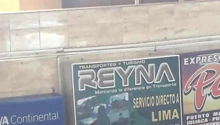 Reyna -  Catalogo - Cercado de Arequipa