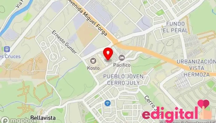 mapa de Reyna Servicio de transporte en Cercado De Arequipa
