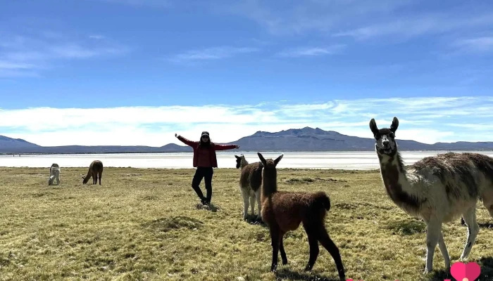 Roky Travel - Arequipa 04001