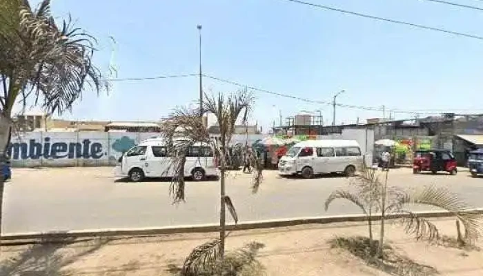 San Vicente -  Promocion - San Vicente de Cañete