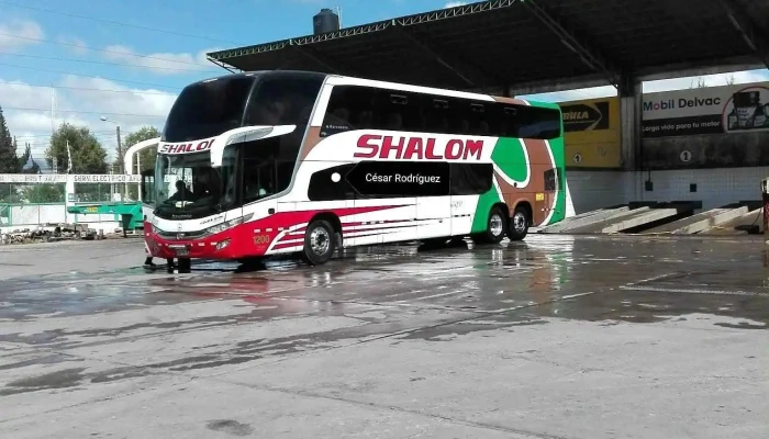 Shalom Bus - Unnamed Road