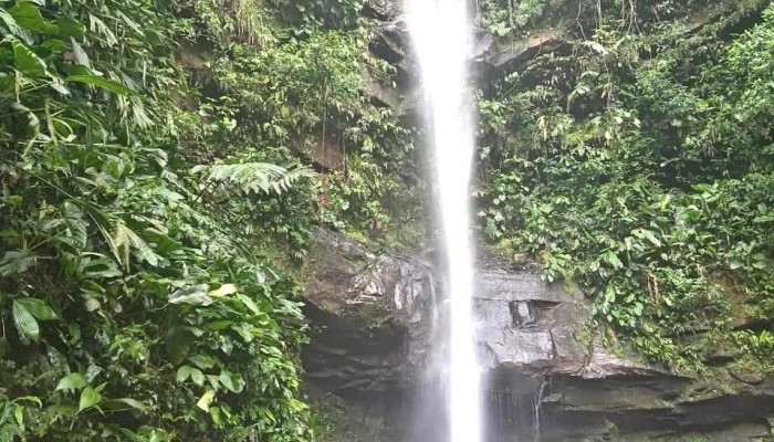 Shamiro Tours-Tarapoto - Tarapoto 22202