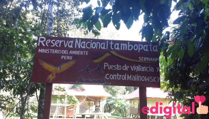 Tambopata Giant Otter Expeditions - Puerto Maldonado 17001