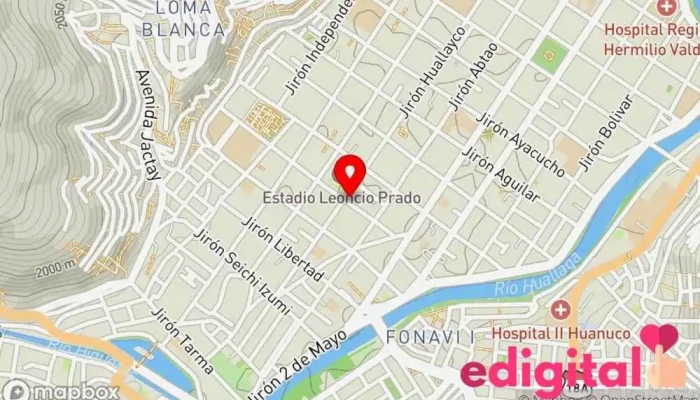 mapa de TEPSA HUANUCO Servicio de transporte en Huánuco 10001