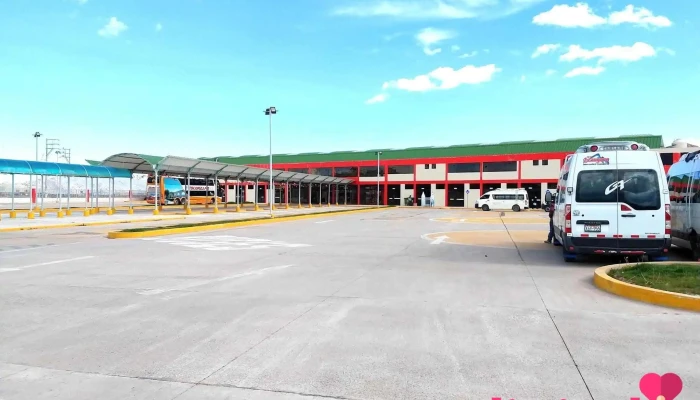 Terminal Azangaro -  Principal - Azángaro 21160