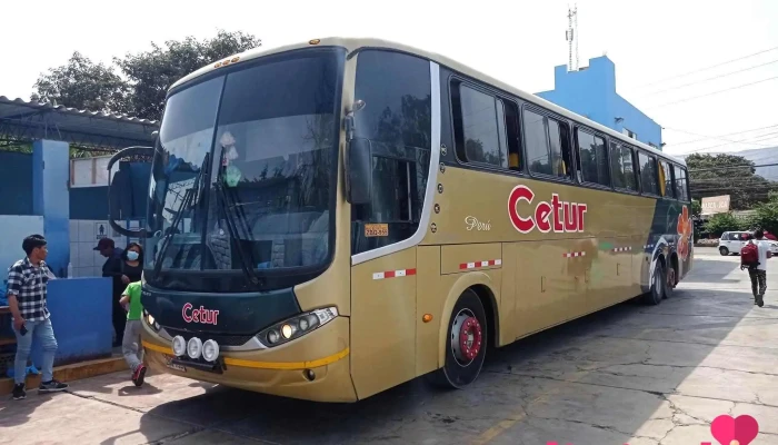 Terminal de Buses Flores Cetur - Nasca 11401