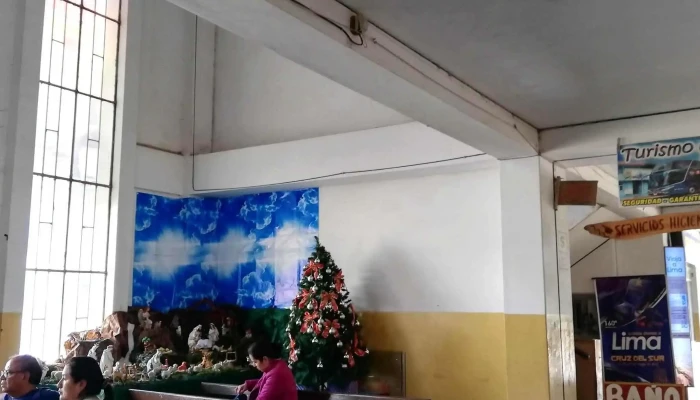 Terminal De Buses -  Promocion - Jr. Loechle