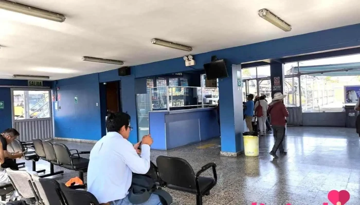 Terminal de Flores Hnos S.r.l Arequipa - Arequipa