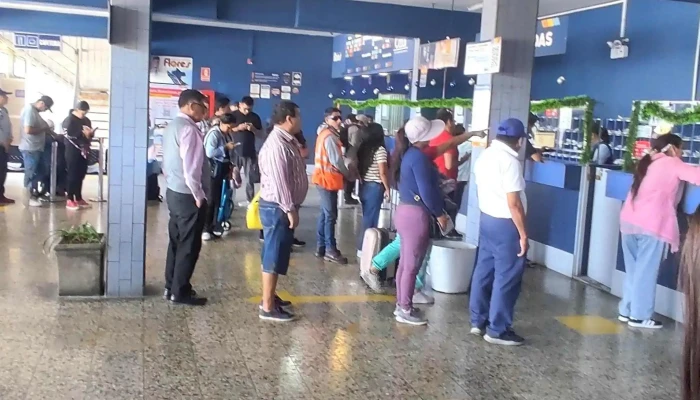 Terminal De Flores Hnos Srl Arequipa Arequipa - Arequipa