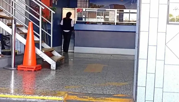 Terminal De Flores Hnos Srl Arequipa Videos - Arequipa