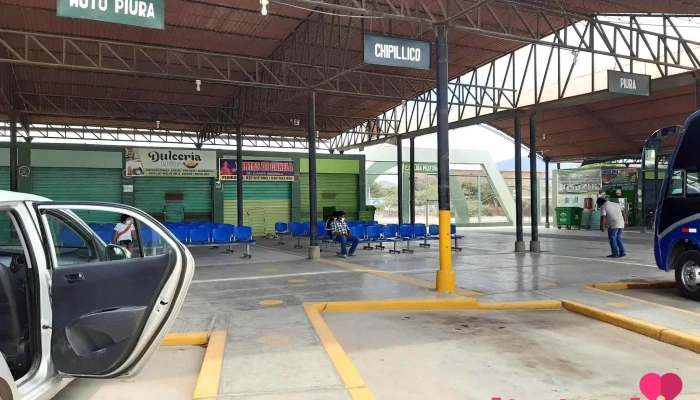 Terminal Las Lomas - Las Lomas 20210