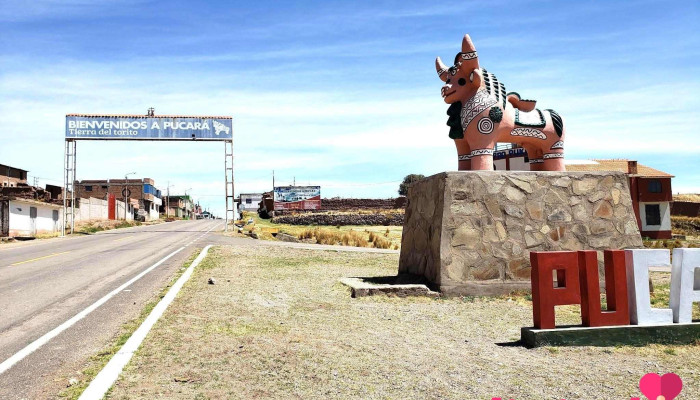Terminal Pucara - Juliaca 21101
