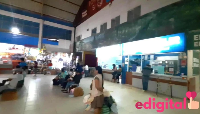Terminal Terrestre De Puerto Maldonado -  Videos - Puerto Maldonado