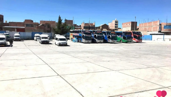 Terminal Terrestre Ilave -  Principal - Ilave 21501