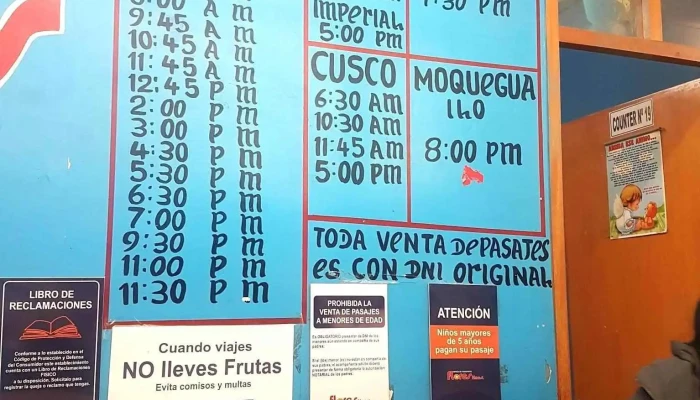 Terminal Terrestre Terrapuerto De Juliaca Principal - Juliaca 21103