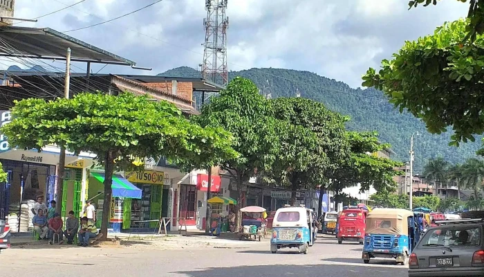 Tocache Express -  Cerca De Mi - Tingo María 10131