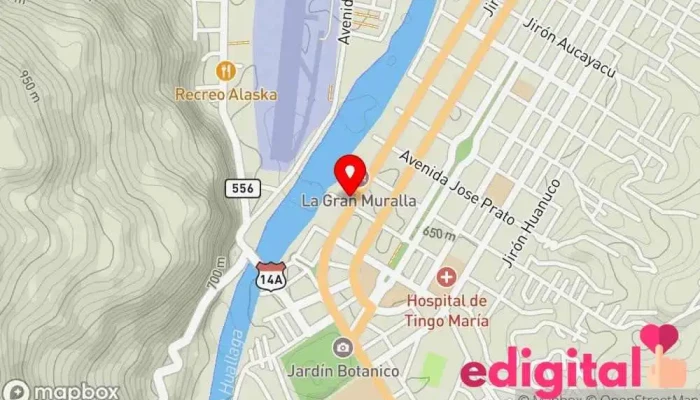 mapa de TOCACHE EXPRESS Transporte público en Tingo María 10131