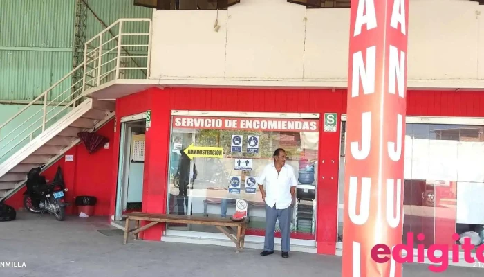 Tocache Express - Tarapoto 22201