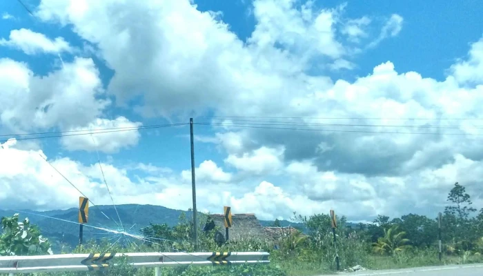 Tocache Express -  Transporte Publico - Tingo María 10131