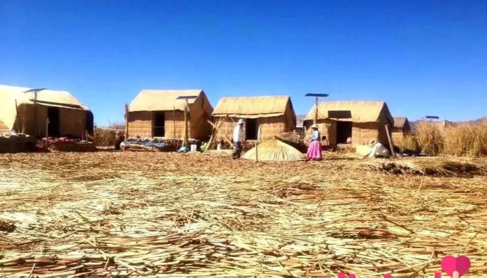 Tours en Puno - Puno 21001