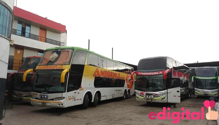 Transportes Andorina   Agencia Arequipa Barcelona Bus Turistic - Arequipa