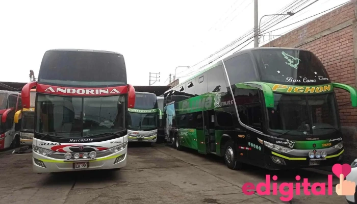 Transportes Andorina   Agencia Arequipa Opiniones - Arequipa