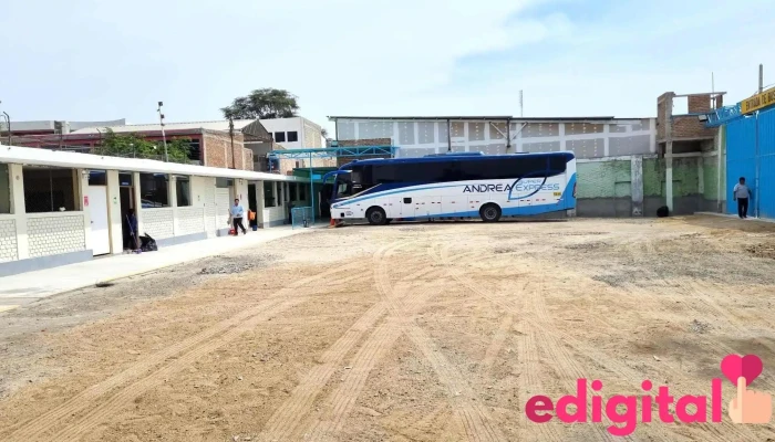 Transportes Andrea Express Piura - Piura 20000