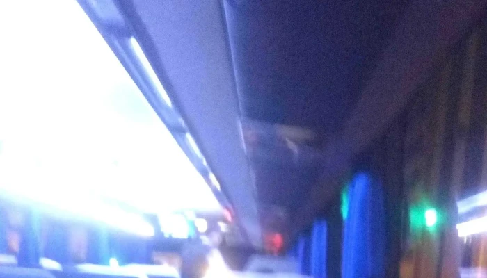 Transportes Gm Internacional -  Videos - Las Palmas