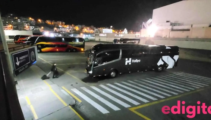 Transportes Hallpa -  Autobus - Arequipa