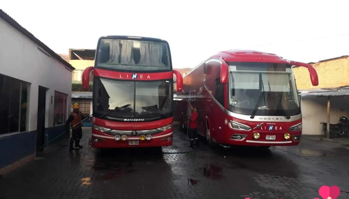 Transportes Linea - Cajamarca 06002