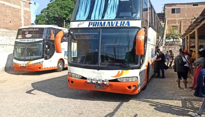 Transportes Primavera - Tumbes 24002