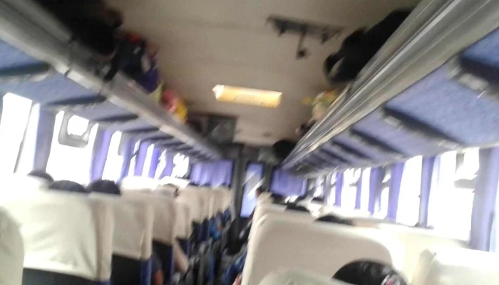 Transportes San Roman Opiniones - Juliaca 21101