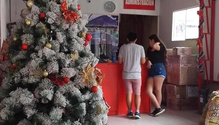 Turismo Brizas - Huánuco 10003