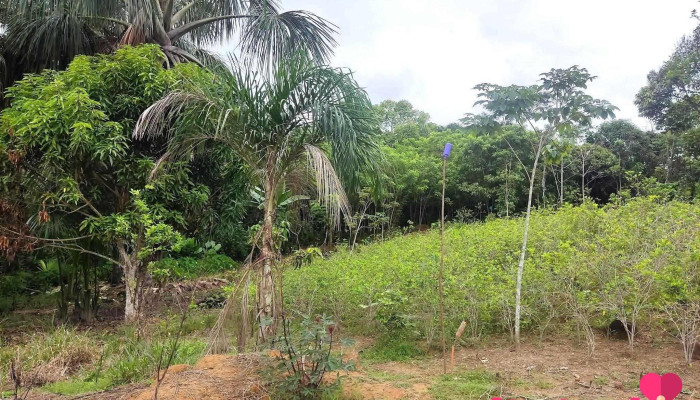 Venta de lotes - Tocache 22540