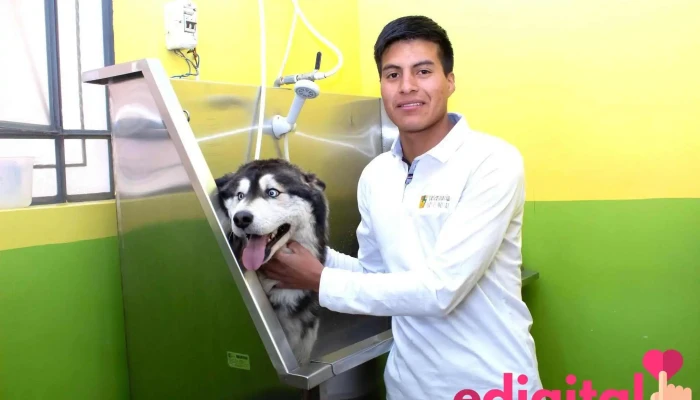 Veterinaria Wuau Wuau -  Del Propietario - Independencia